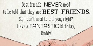 Birthday Quotes for Best Friend