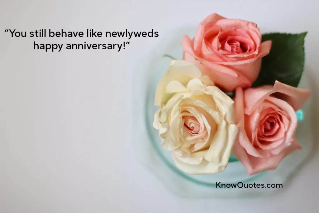 Funny Anniversary Quotes for Parents From Daughter