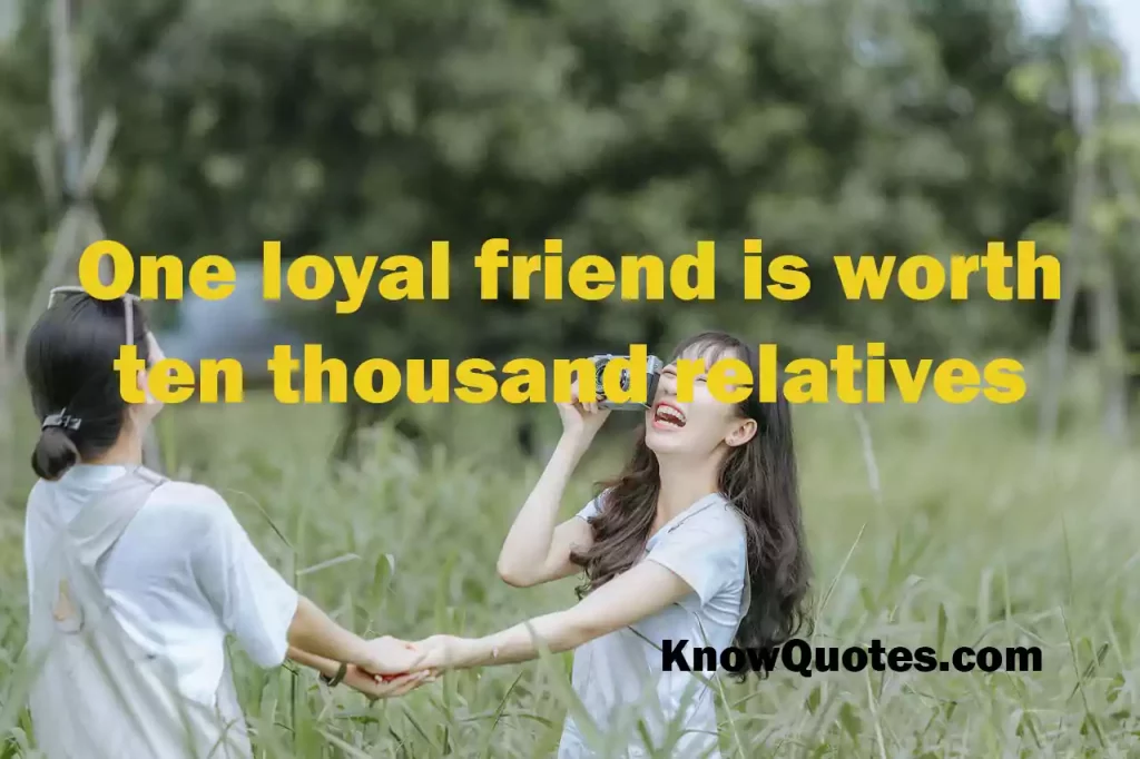 Guy Best Friend Quotes From a Girl Funny