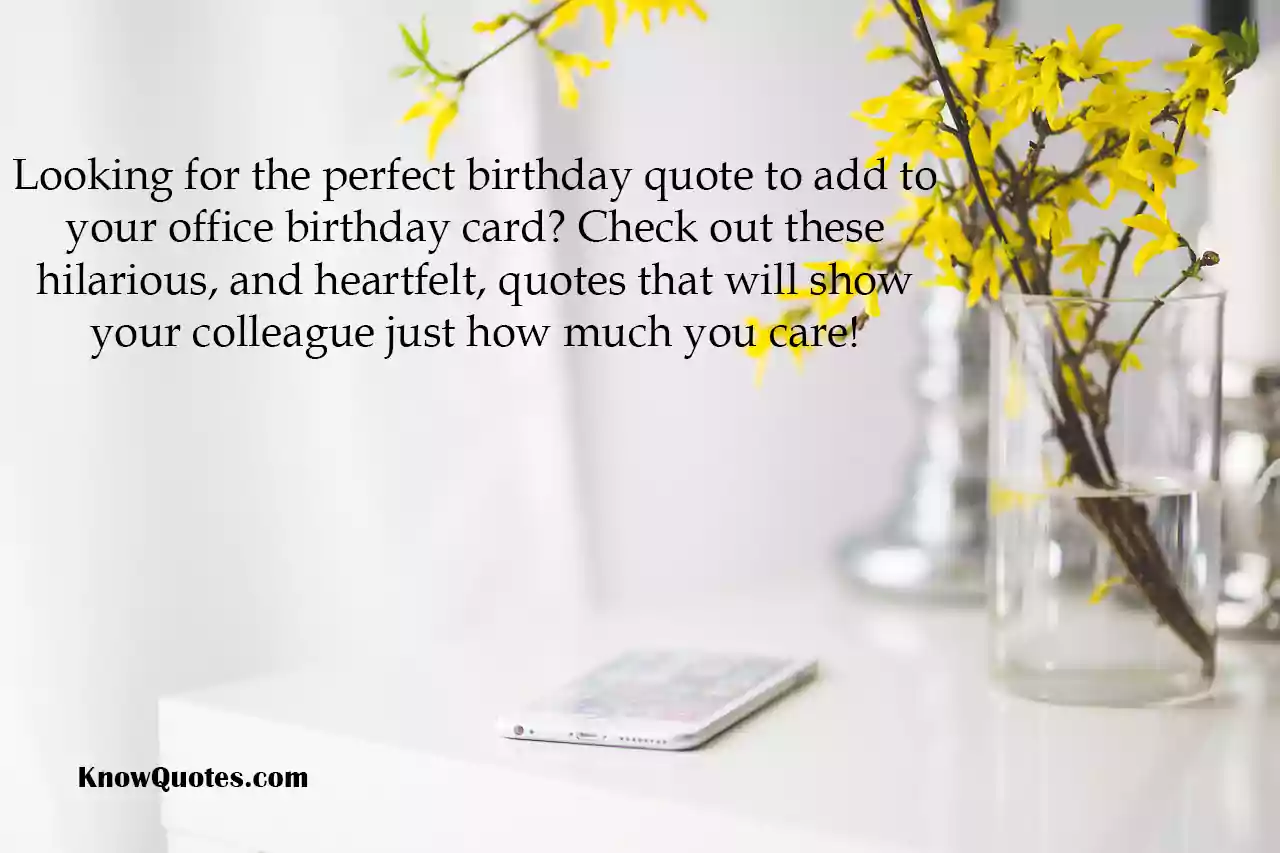 The Office Birthday Quotes UK