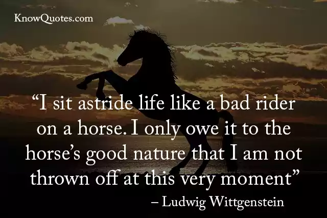 Inspirational Horse Training Quotes