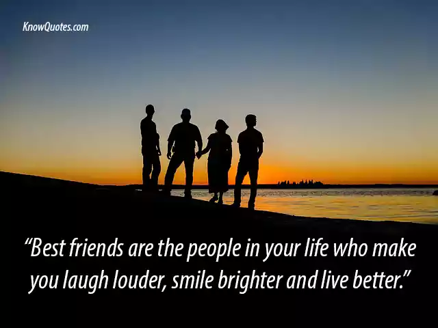 What Is Friendship Quotes