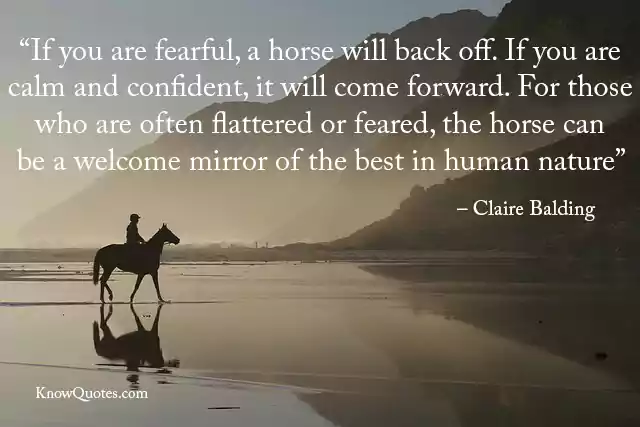 Uplifting Horse Quotes
