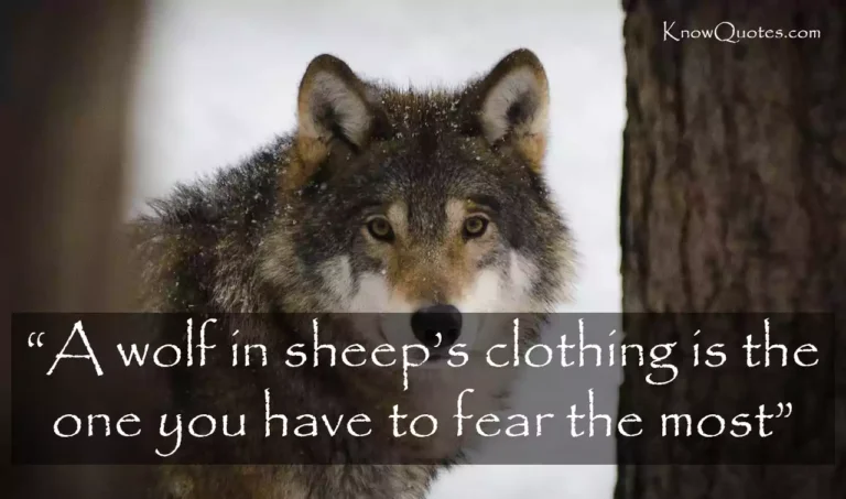 65 Best Inspirational Strength Wolf Quotes