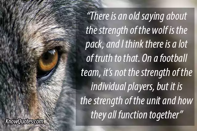 Lone Wolf Quotes About Strength