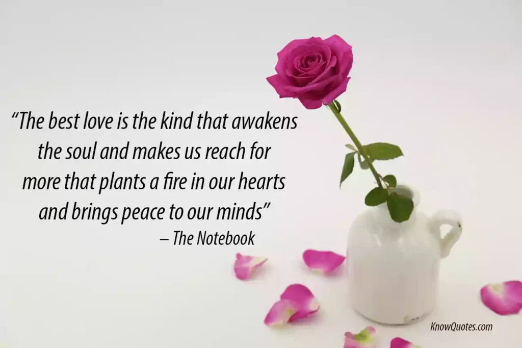 When Love Grows Quotes