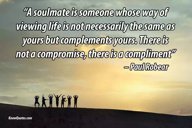 31+ Best Soulmate Friendship Quotes