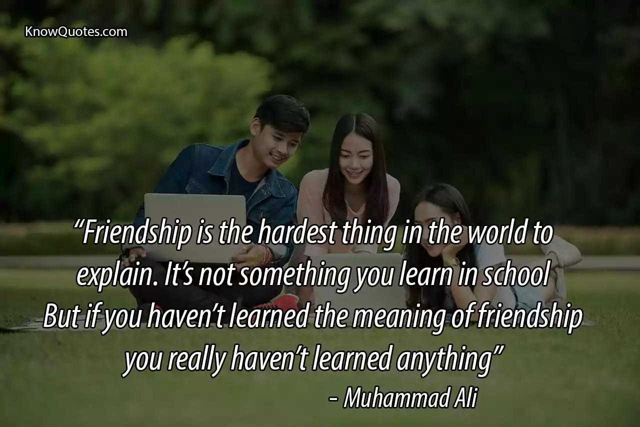 The True Meaning of Friendship Quotes