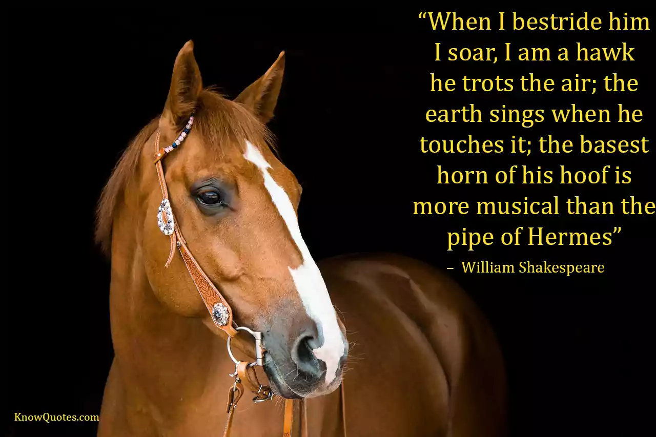 Uplifting Inspirational Horse Quotes