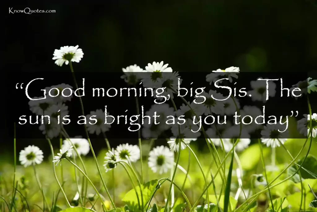 Inspirational Good Morning Sister Quotes