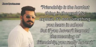Male Female Friendship Quotes