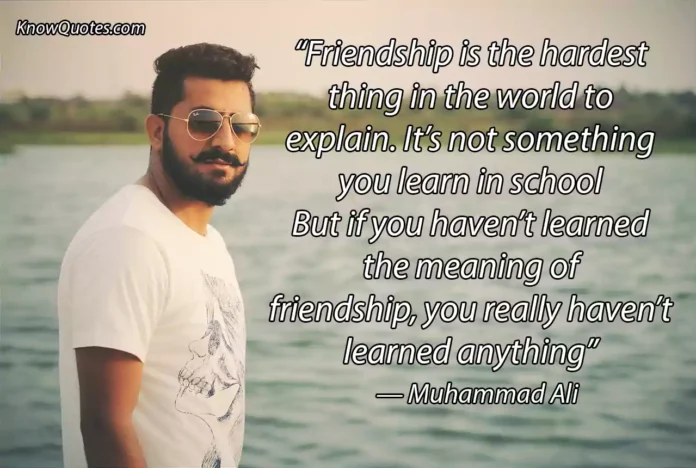Male Female Friendship Quotes