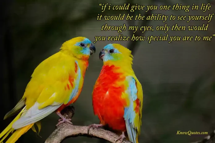 Love Birds Quotes in English