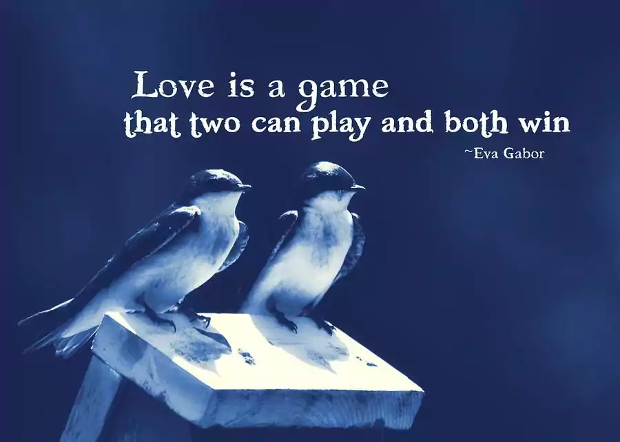 Love Birds Quotes for Couples