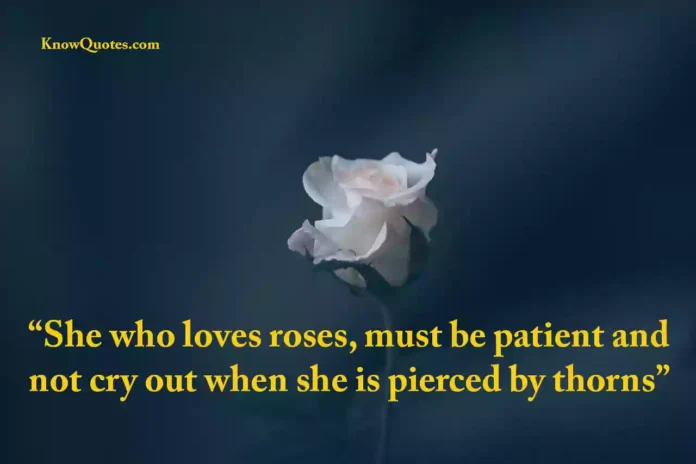 Rose Love Quotes for Him