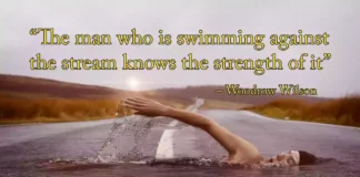 Best Swimming Motivational Quotes