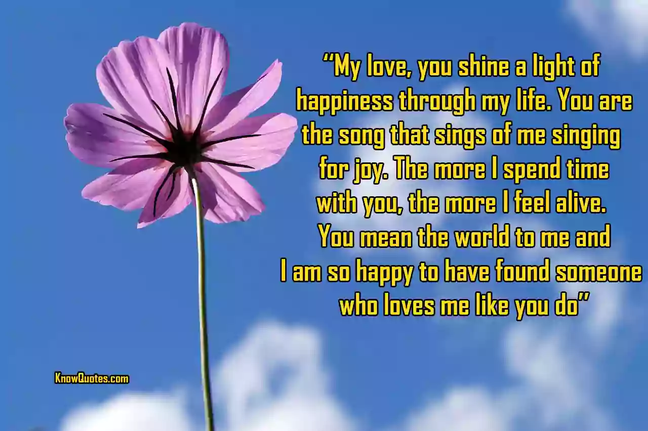 You Are the Love of My Life Quotes for Him