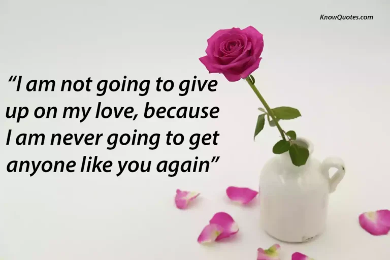 Quotes About Never Giving up on Love