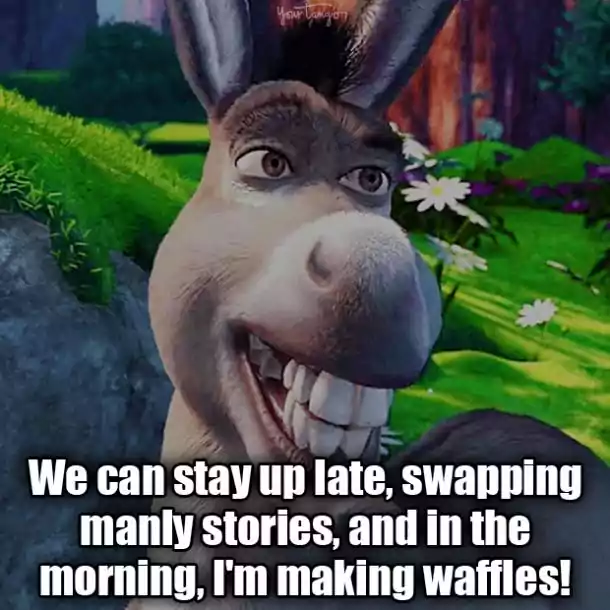 Funny Donkey Quotes From Shrek