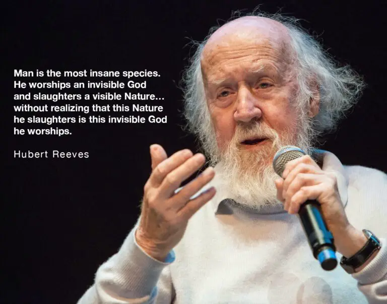 Hubert Reeves Quotes