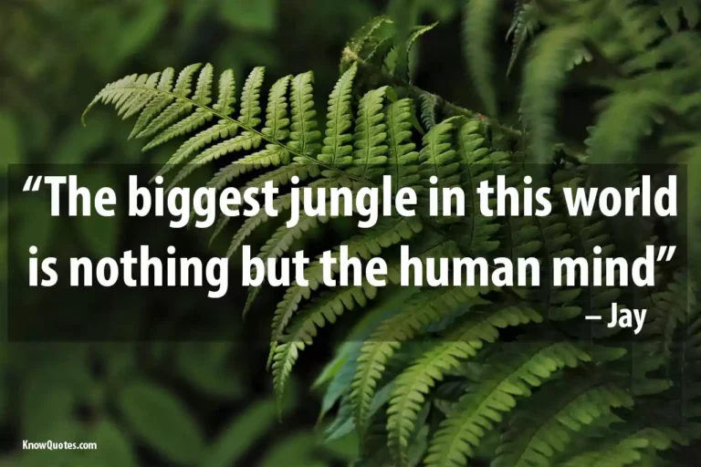 Jungle Quotes