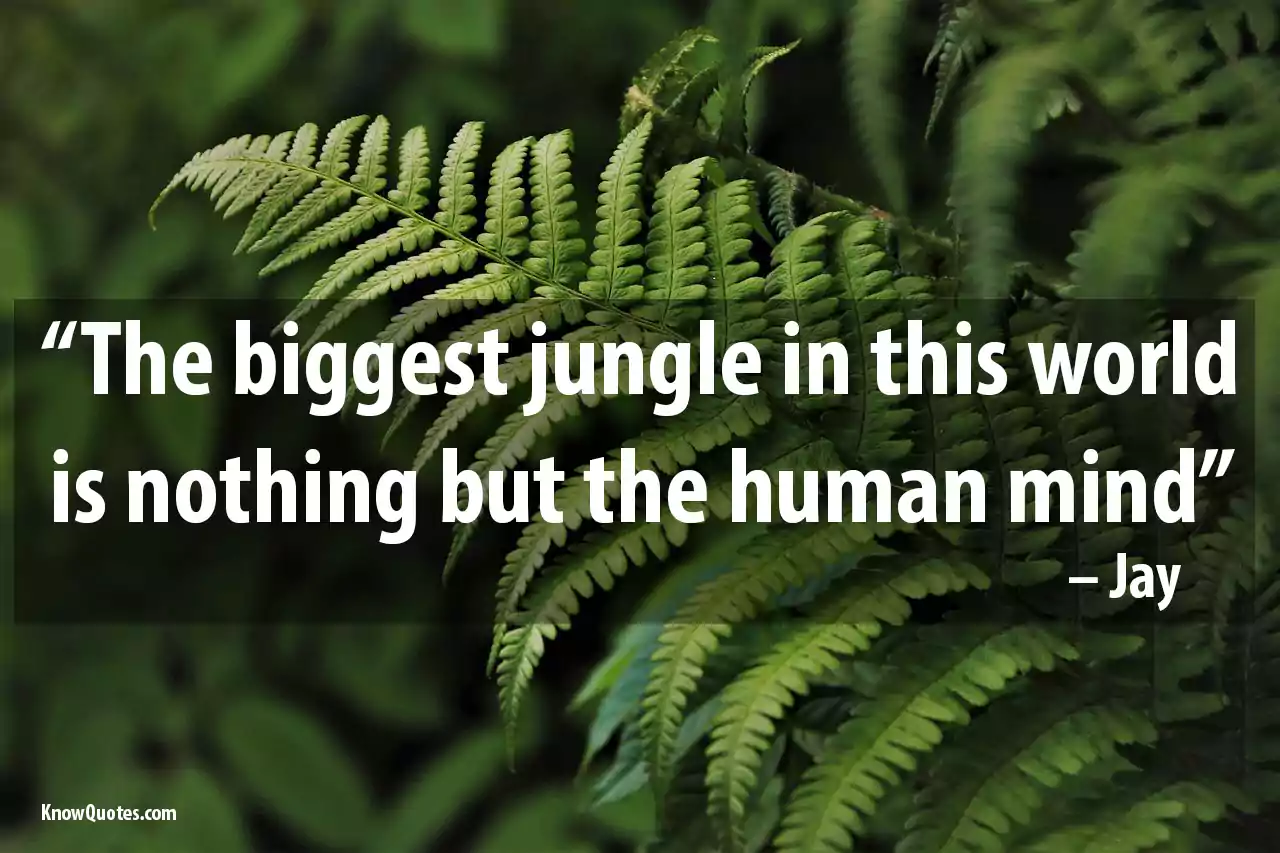 Jungle Quotes for Instagram