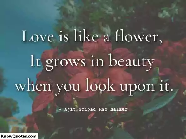 A Flower Quotes