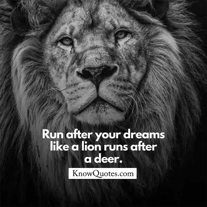 Lion Quotes for Strong Life