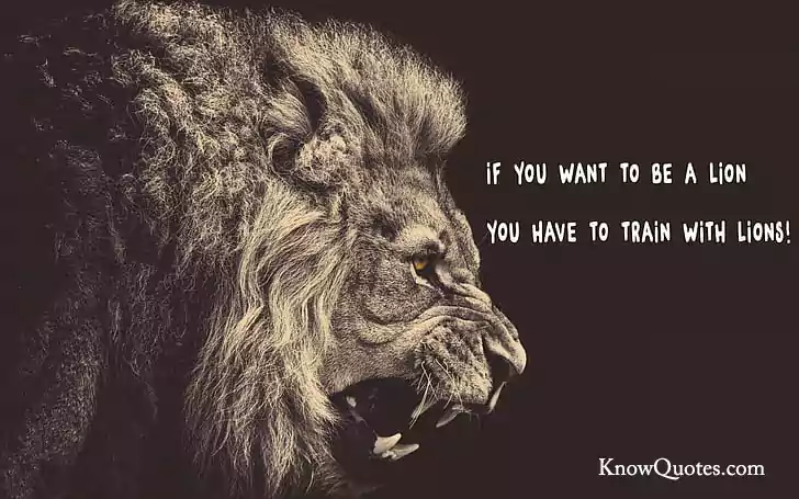 Lion Quotes