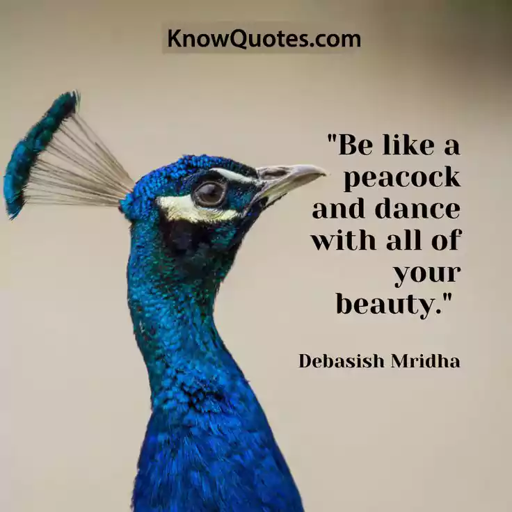 Peacock Quotes Beauty