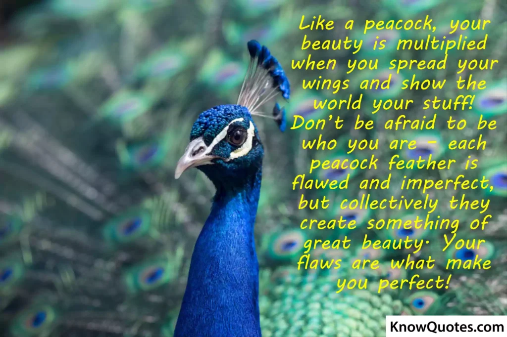 Life Peacock Quotes