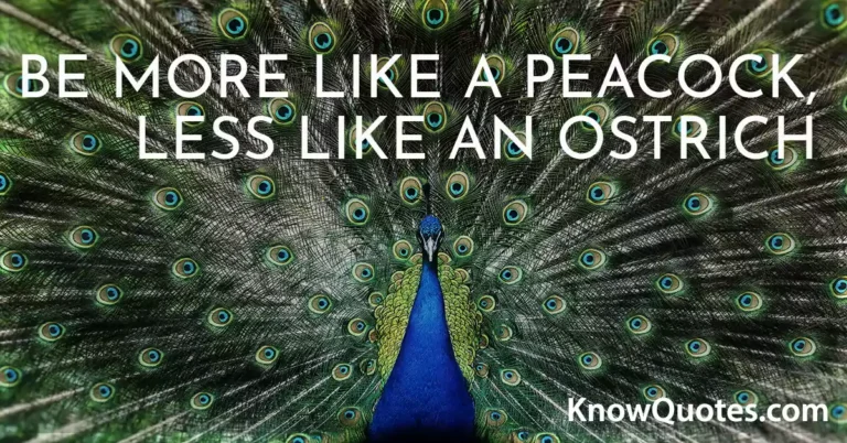 Peacock Quotes For Birds Lovers
