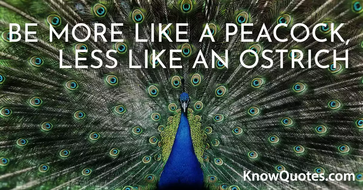 Peacock Quotes for Instagram