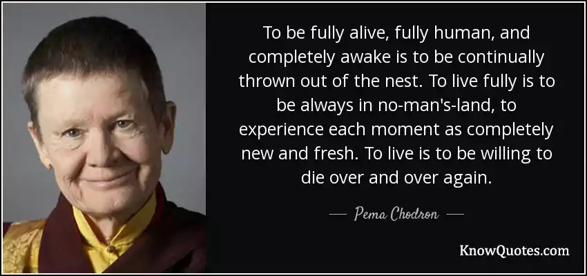 Pema Chodron Quotes When Things Fall Apart