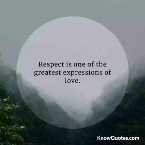 Quotes About Self Respect in English