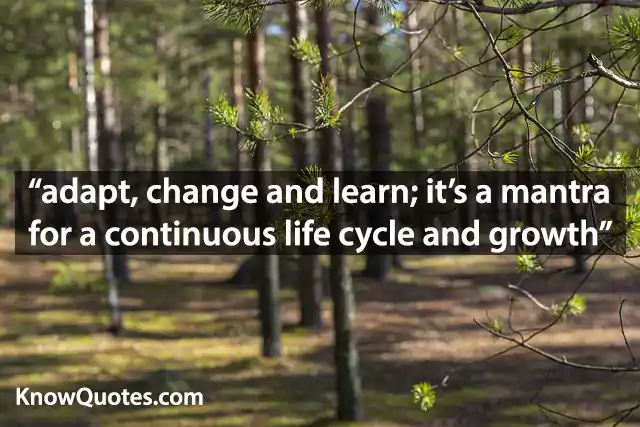 Quotes About Adapting to Change in Business