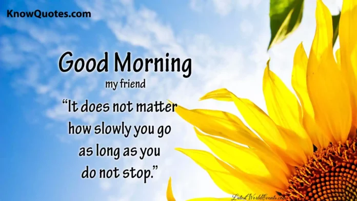 Beautiful Good Morning Quotes With Flowers