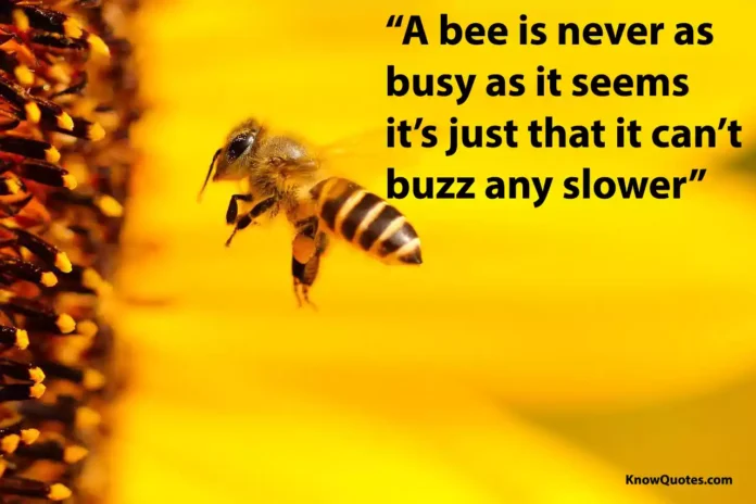Bee Quotes and Sayings
