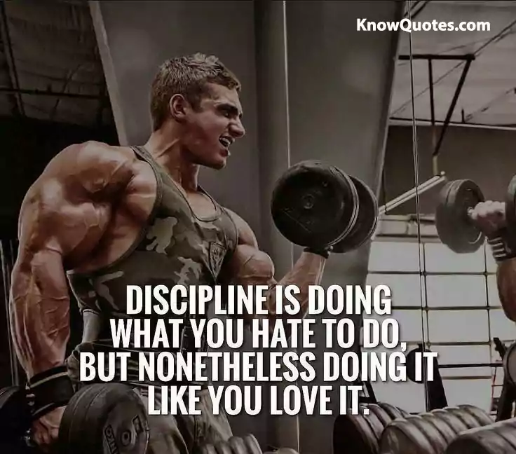 New Gym Motivational Quotes