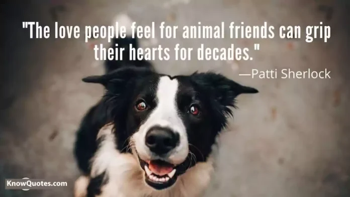 Animal Friendship Quotes