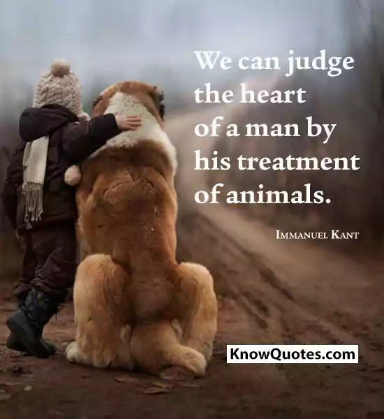 Animal and Human Friendship Quotes