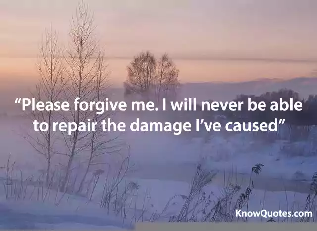 Quotes About Asking for Forgiveness