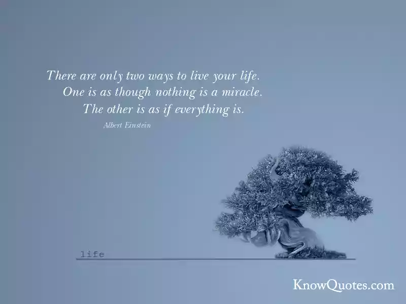 Tree Quotes Inspirational