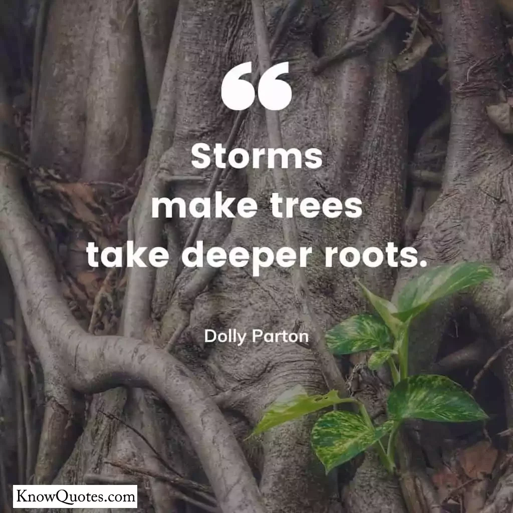 Tree Quotes Family