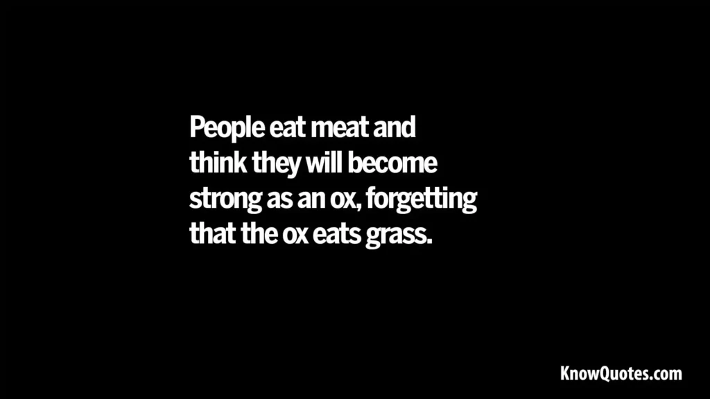 Vegetarian Quotes