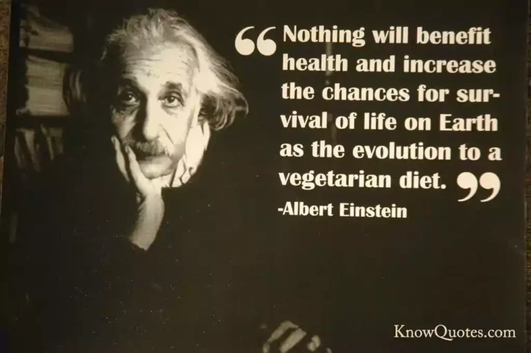 Vegetarian Quotes
