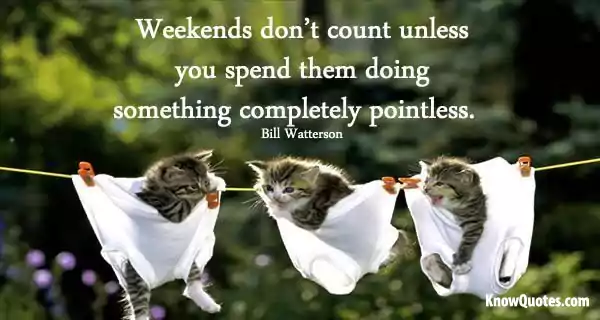 Weekend Quotes