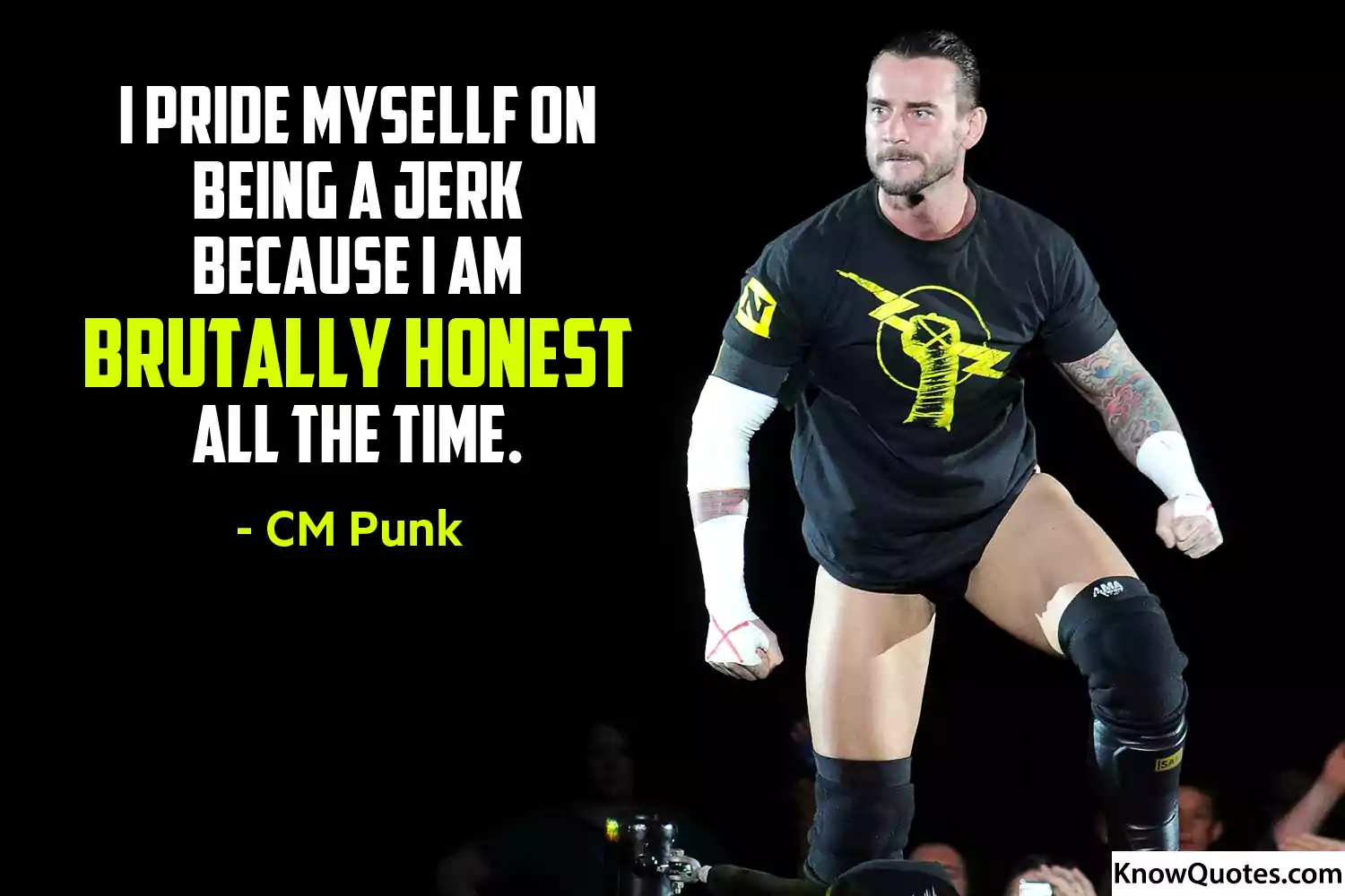 Wrestling Quotes WWE