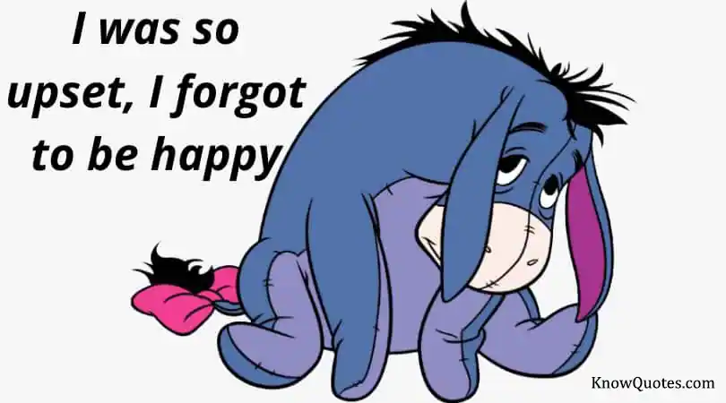 Eeyore Quotes About Love