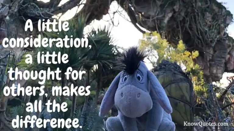 Eeyore Quotes About Love
